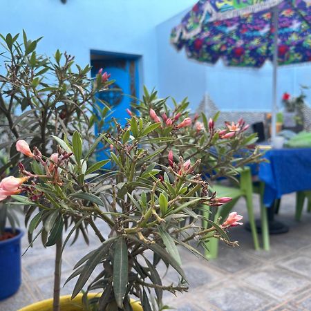 Casa Morisca Βίλα Sidi Ifni Εξωτερικό φωτογραφία