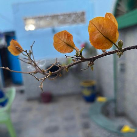 Casa Morisca Βίλα Sidi Ifni Εξωτερικό φωτογραφία