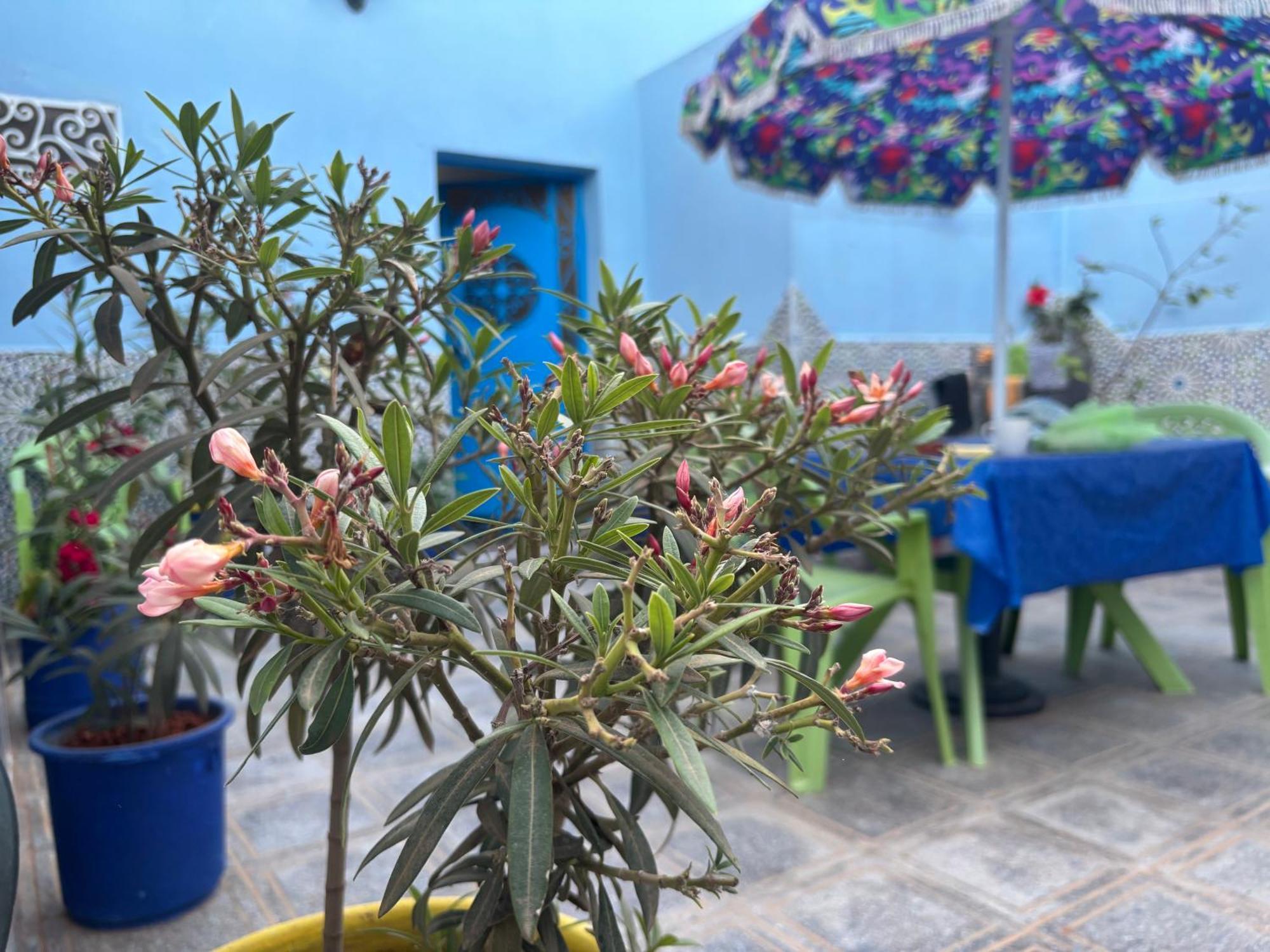 Casa Morisca Βίλα Sidi Ifni Εξωτερικό φωτογραφία