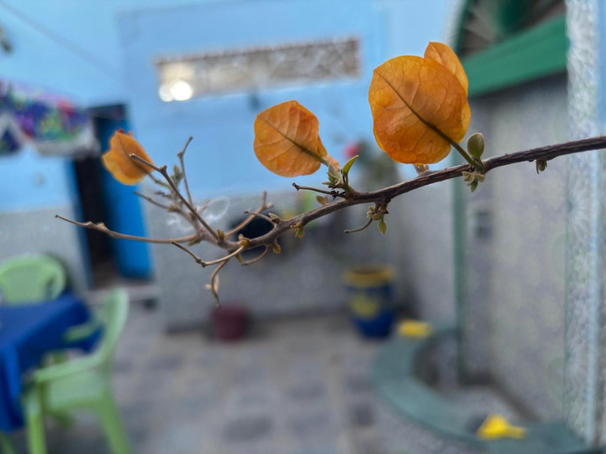 Casa Morisca Βίλα Sidi Ifni Εξωτερικό φωτογραφία