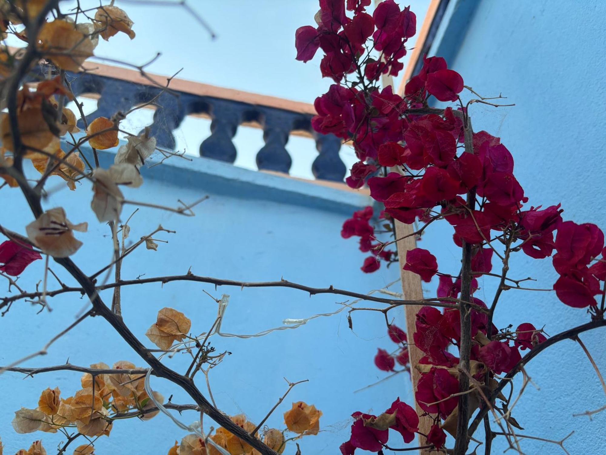 Casa Morisca Βίλα Sidi Ifni Εξωτερικό φωτογραφία